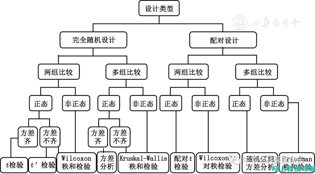 如何确定统计站站长的级别？一篇文章带你全面了解